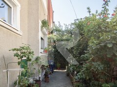 Dristor, casa individuala